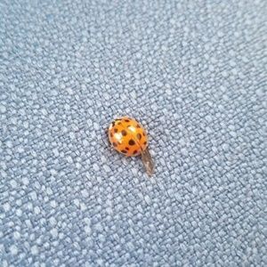 Meet your Posher, Sarah